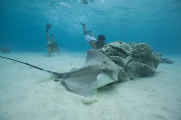 Discover Polynesian history and culture by diving on shipwrecks © Tahiti Tourisme